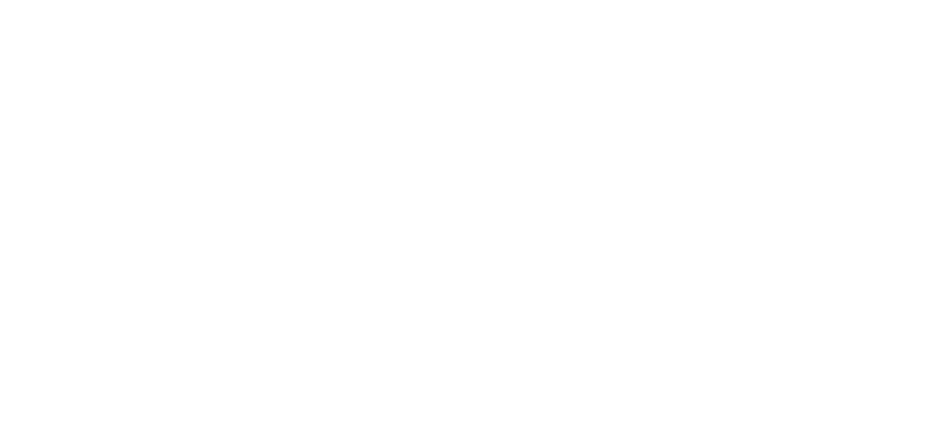 Pitlak
